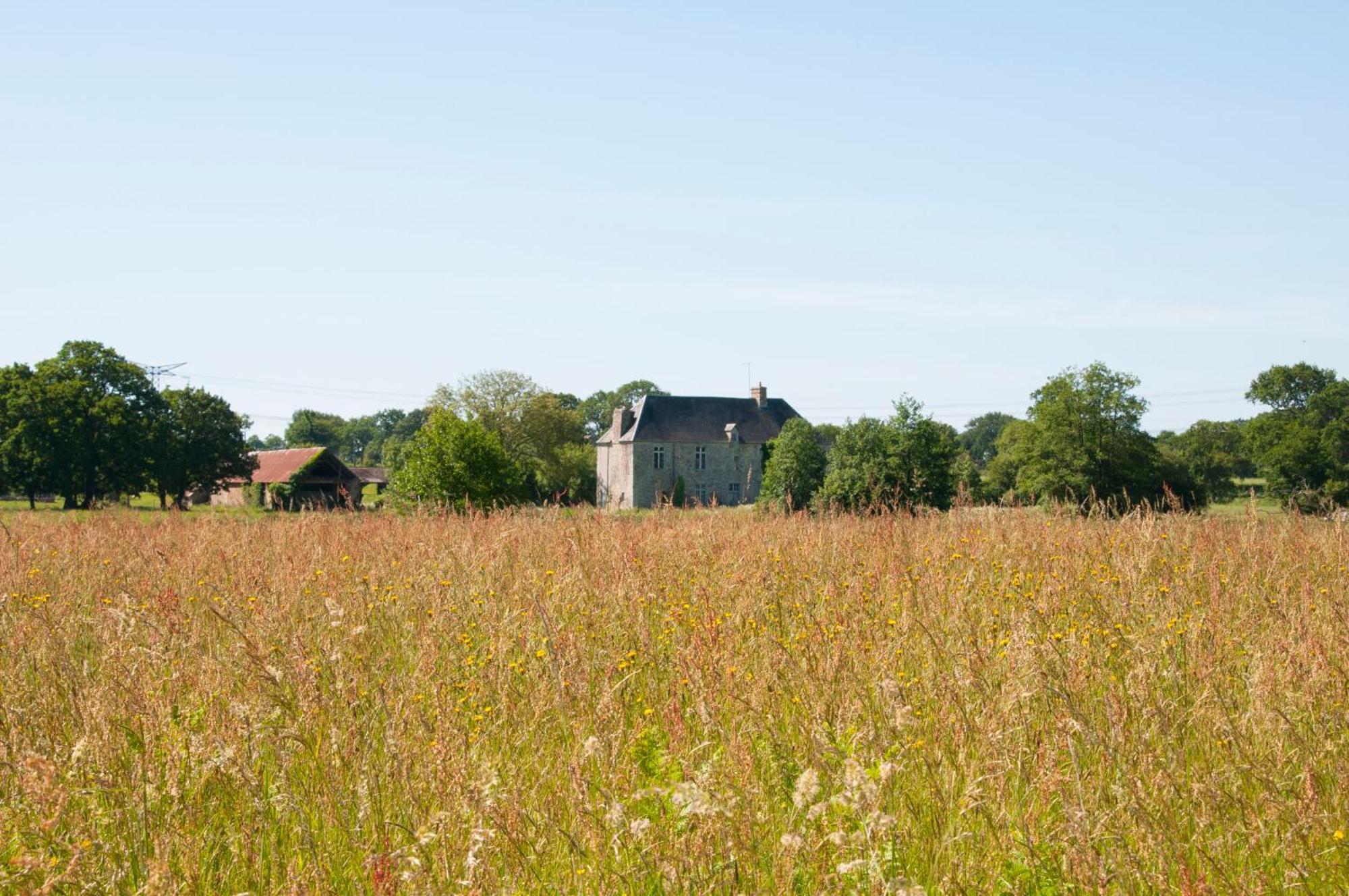 La Maison Des Tilleuls Saint-Germain-Sur-Seves ภายนอก รูปภาพ